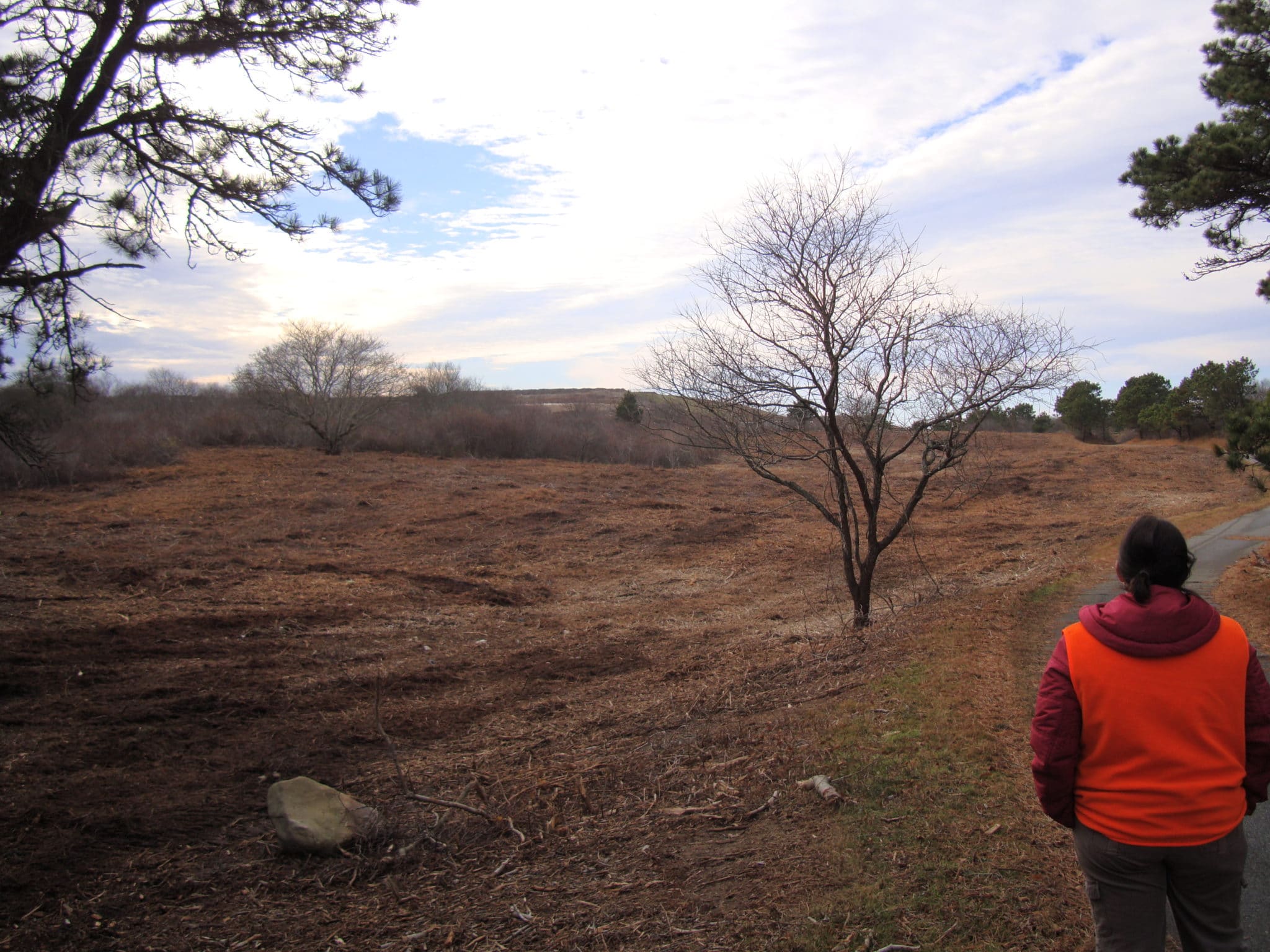 Fecon Results along Madaket Bike Path by Dump Dec 5 2012 01