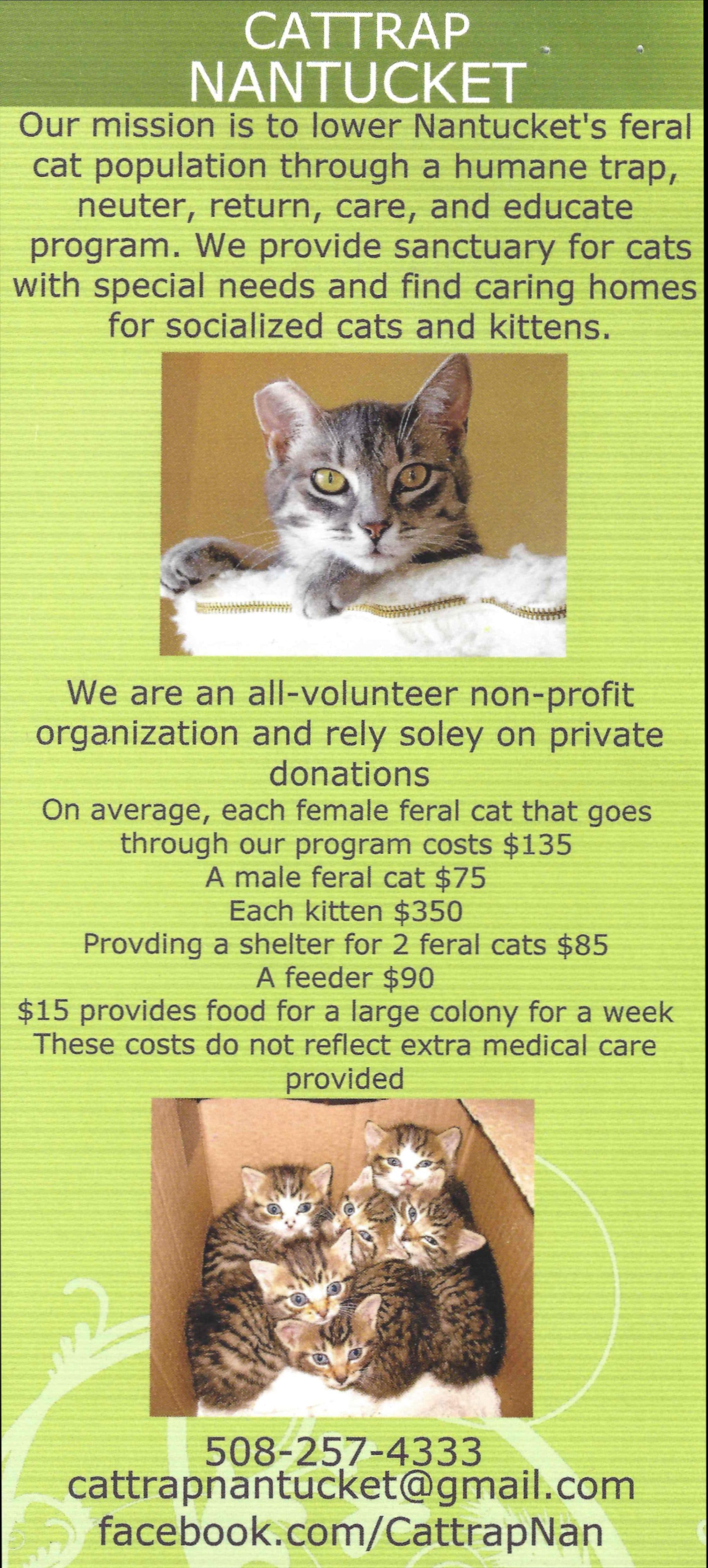 CatTrap Brochure1