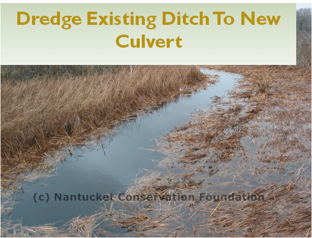 ditch