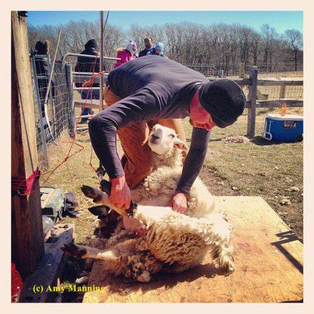 eric-shearing-2013