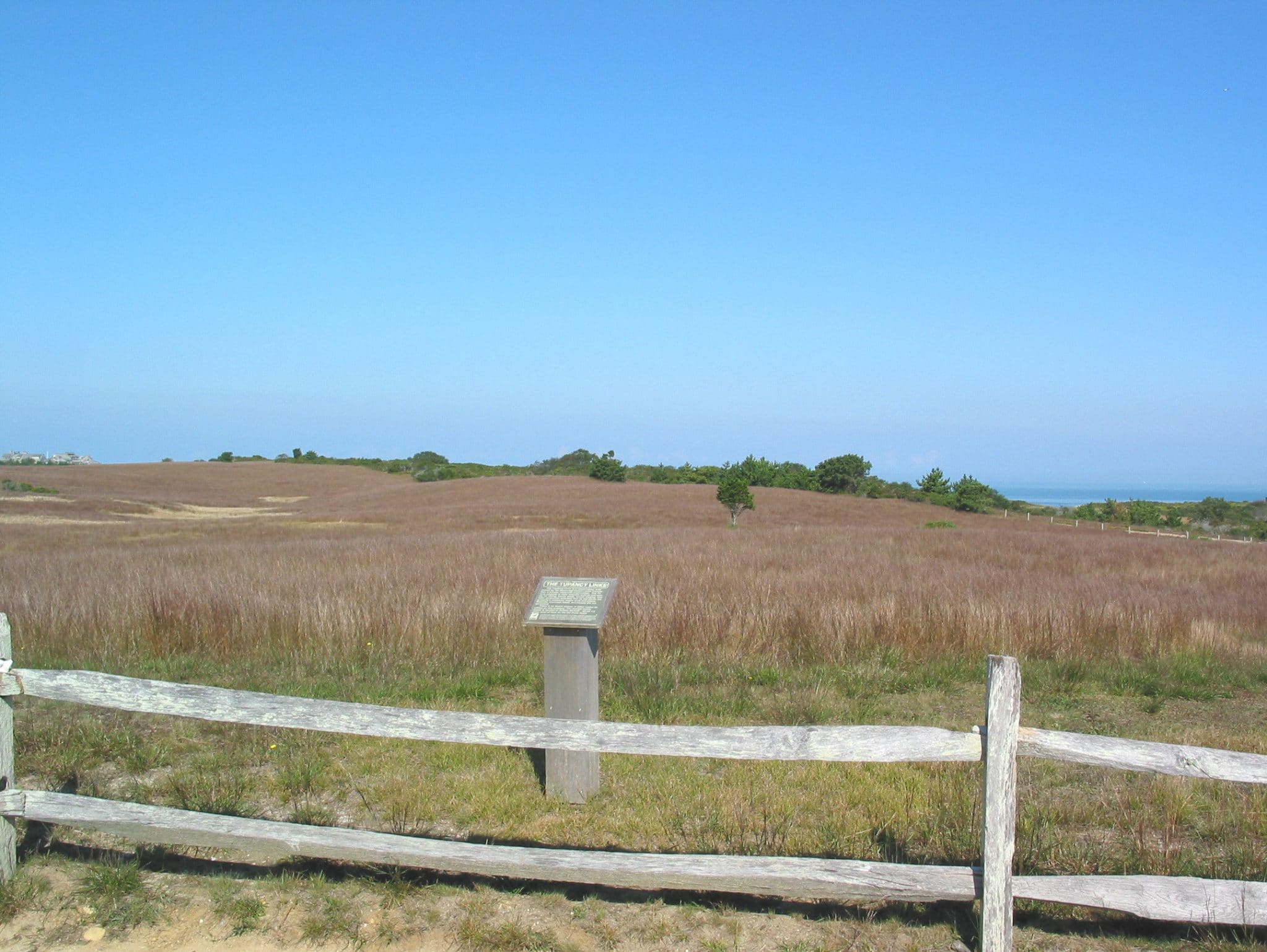 Open sandplain grasslands at Tupancy Links