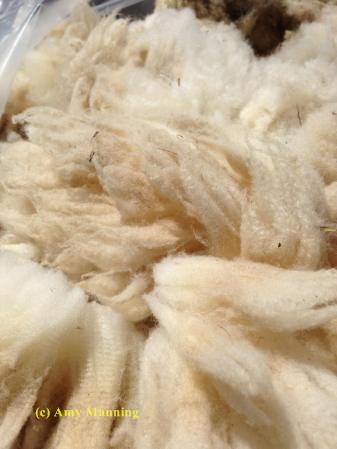 wool-2013