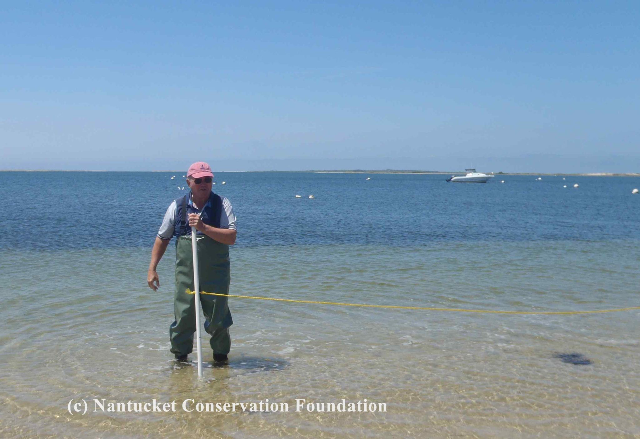 NCF Board Member Nathan Allan helping survey horseshoe crabs