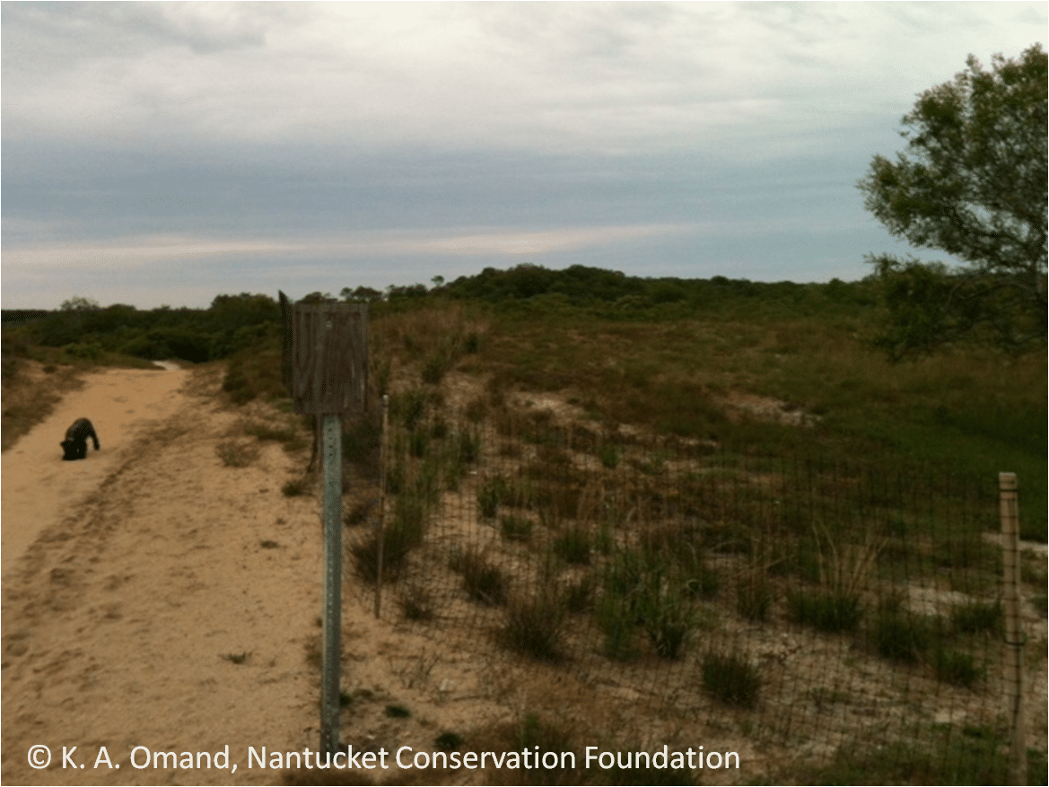 Sanford Trailside Planti