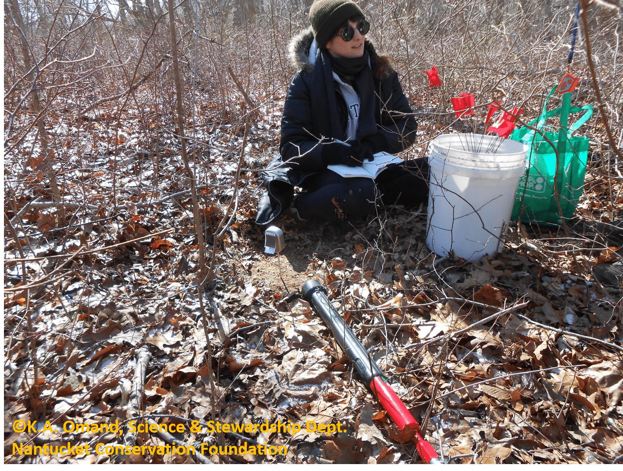 Adrianna taking soil samples at the north plot for soil testing later in the lab.
