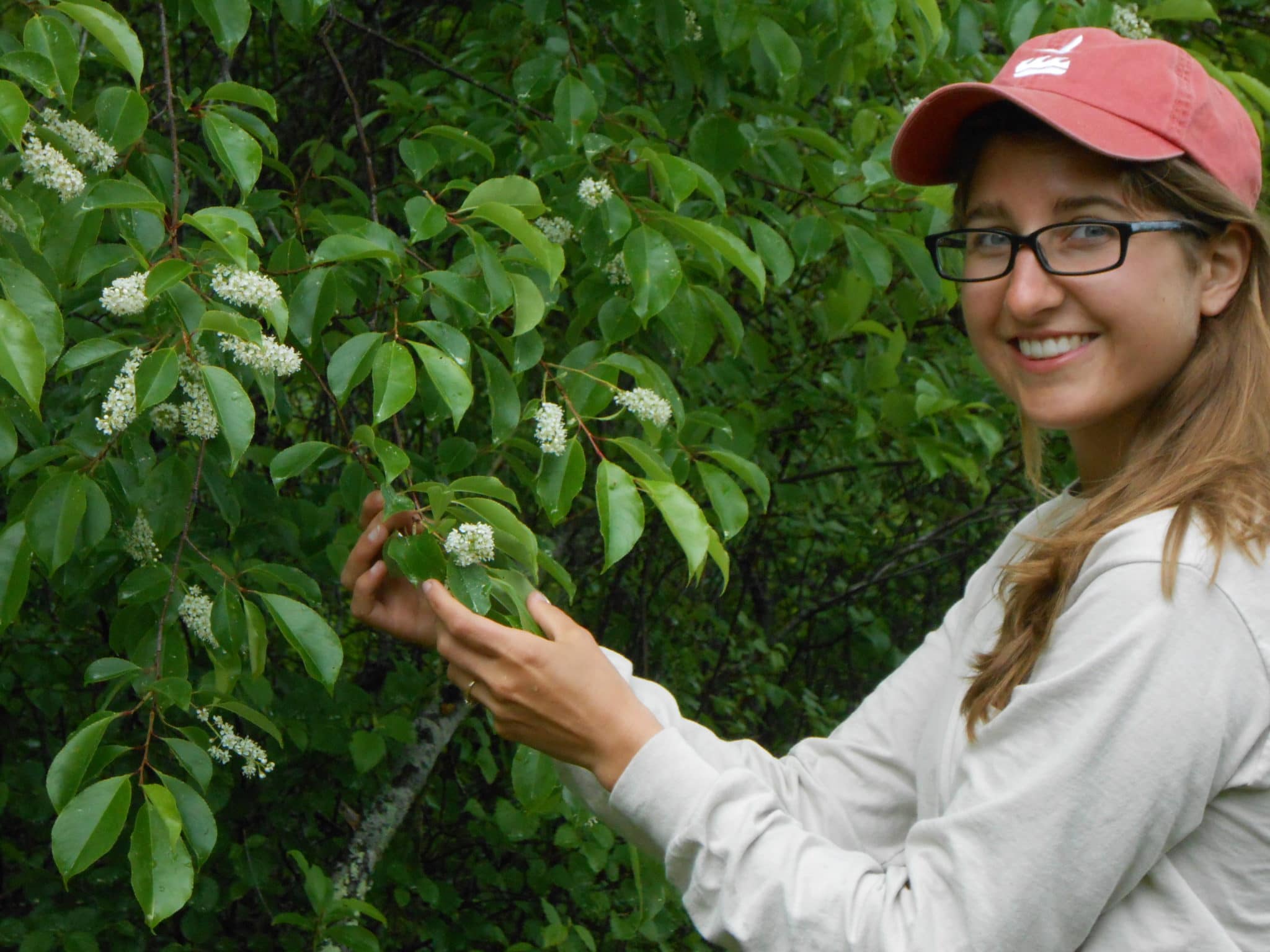Andee with black cherry (Prunus serotina)
