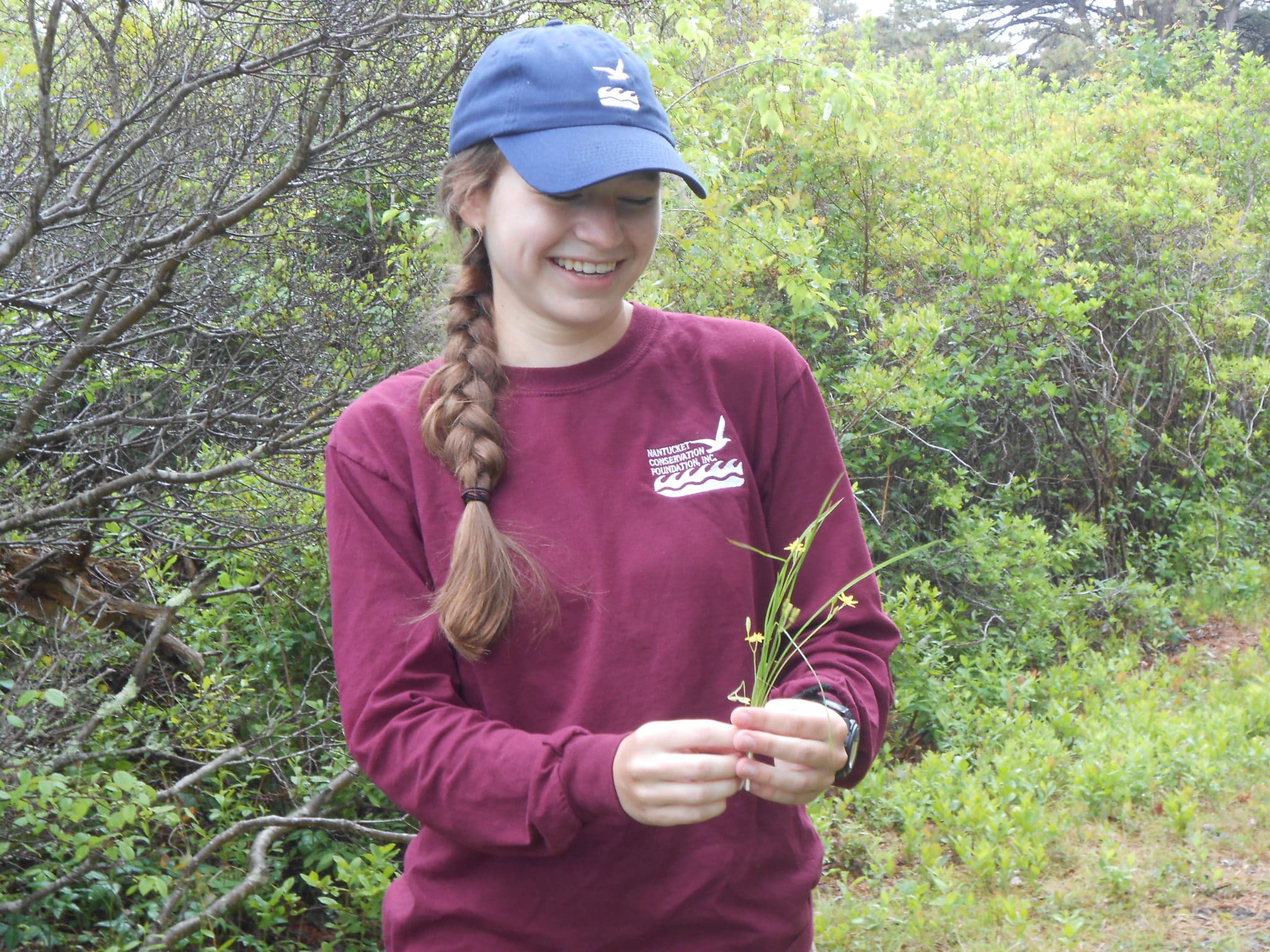 Katherine with yellow star grass (Hypoxis hirsuta)