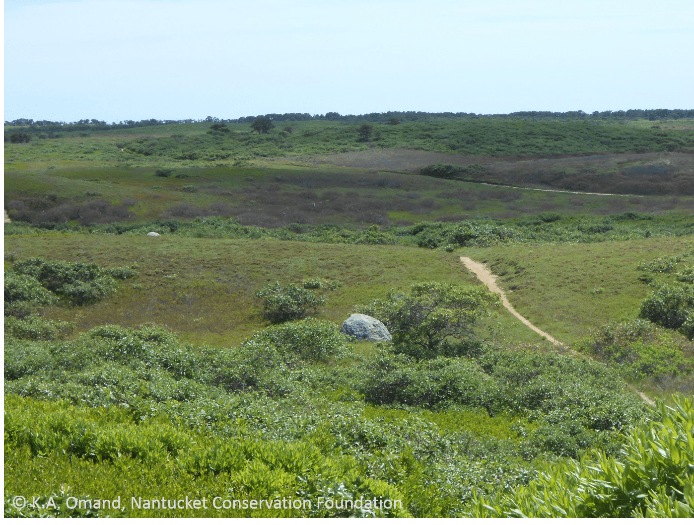 Low-lying spots in the Middle Moors with "frost pockets" as darker brown areas where leaves have withered.