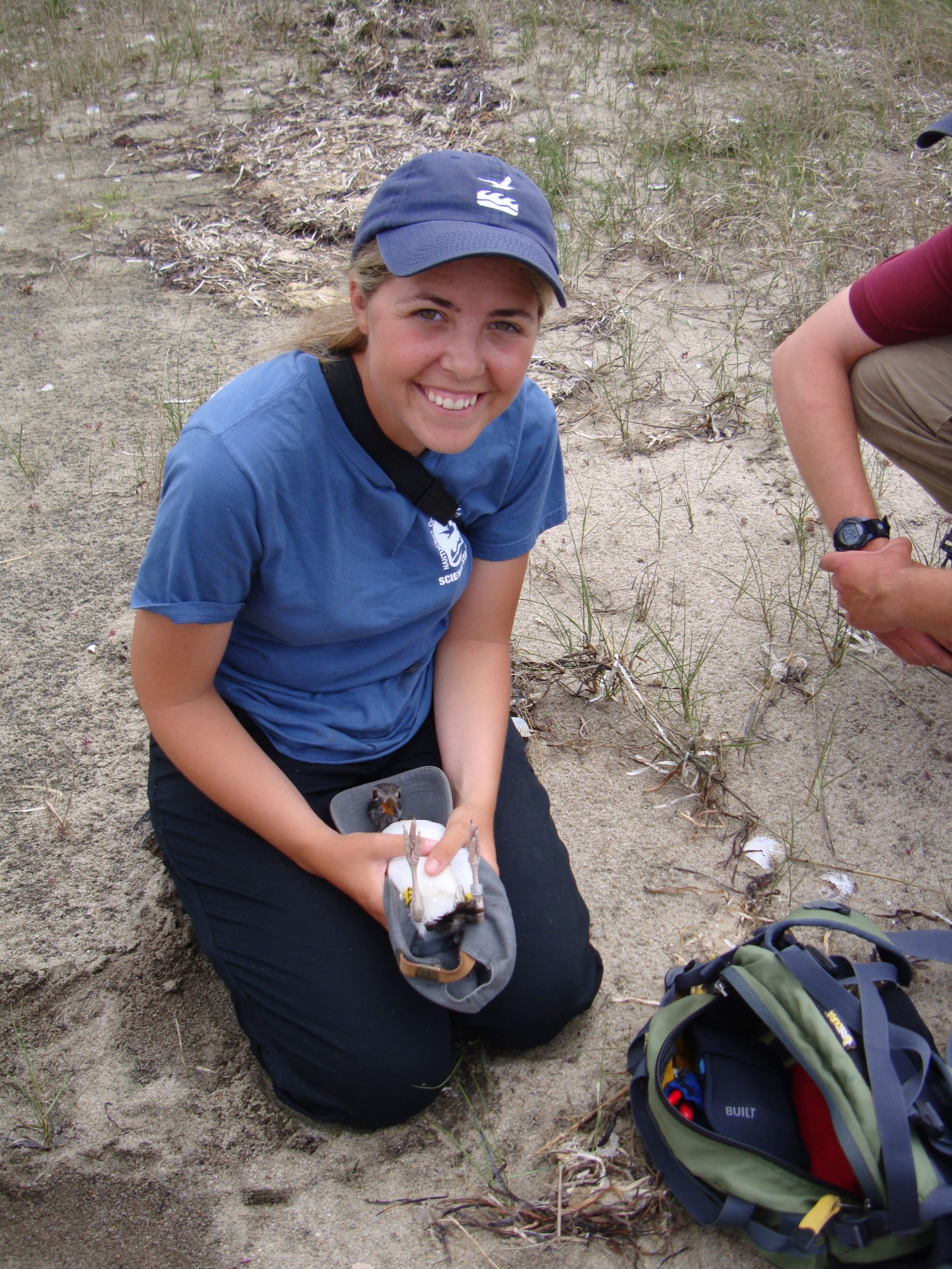 Libby Buck with a newly banded American Oystercatcher chick