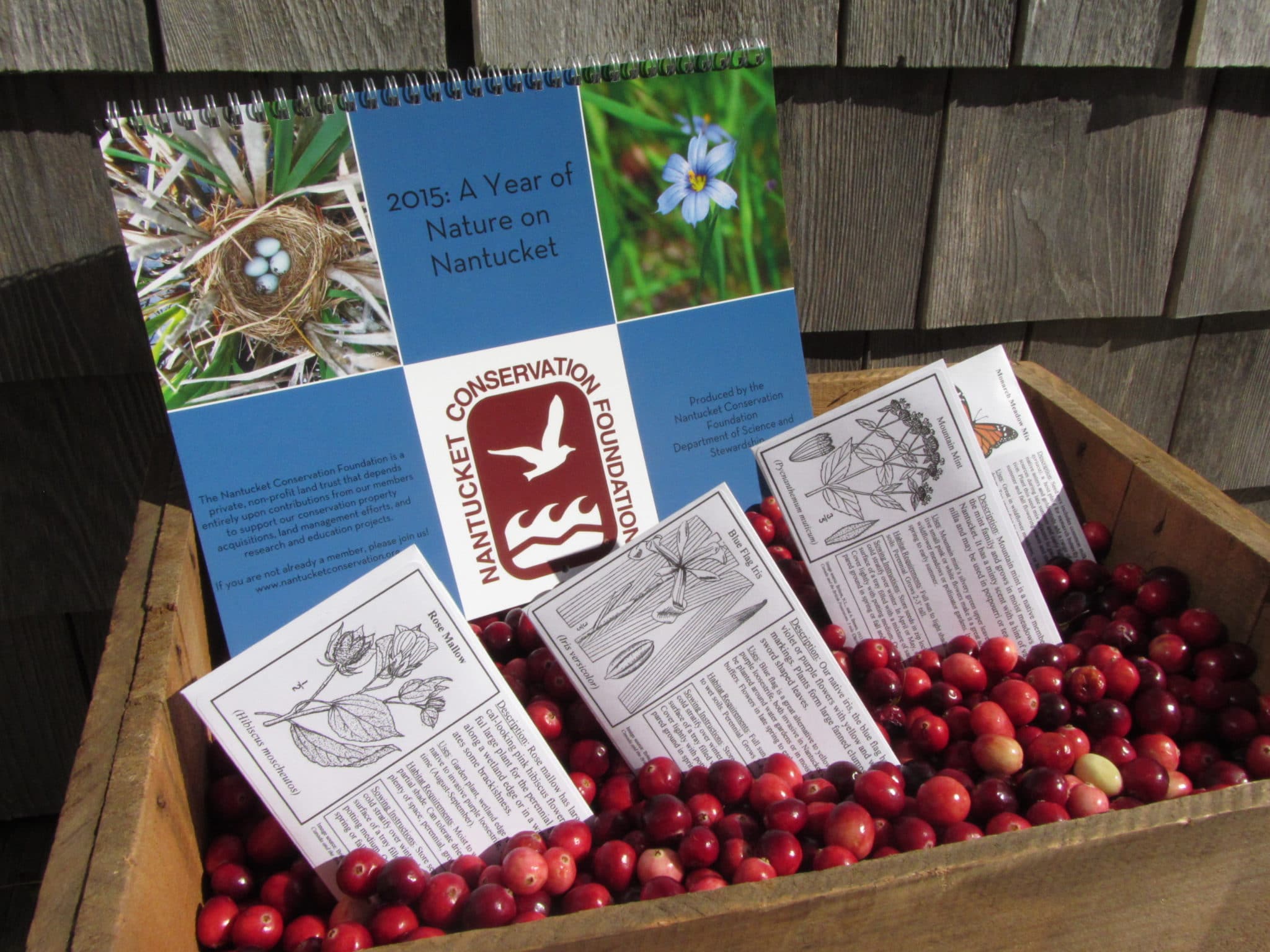 New at this year's Cranfest--a calendar prepared by NCF's Science and Stewardship Department. And back by popular request: locally collected native plant seeds.