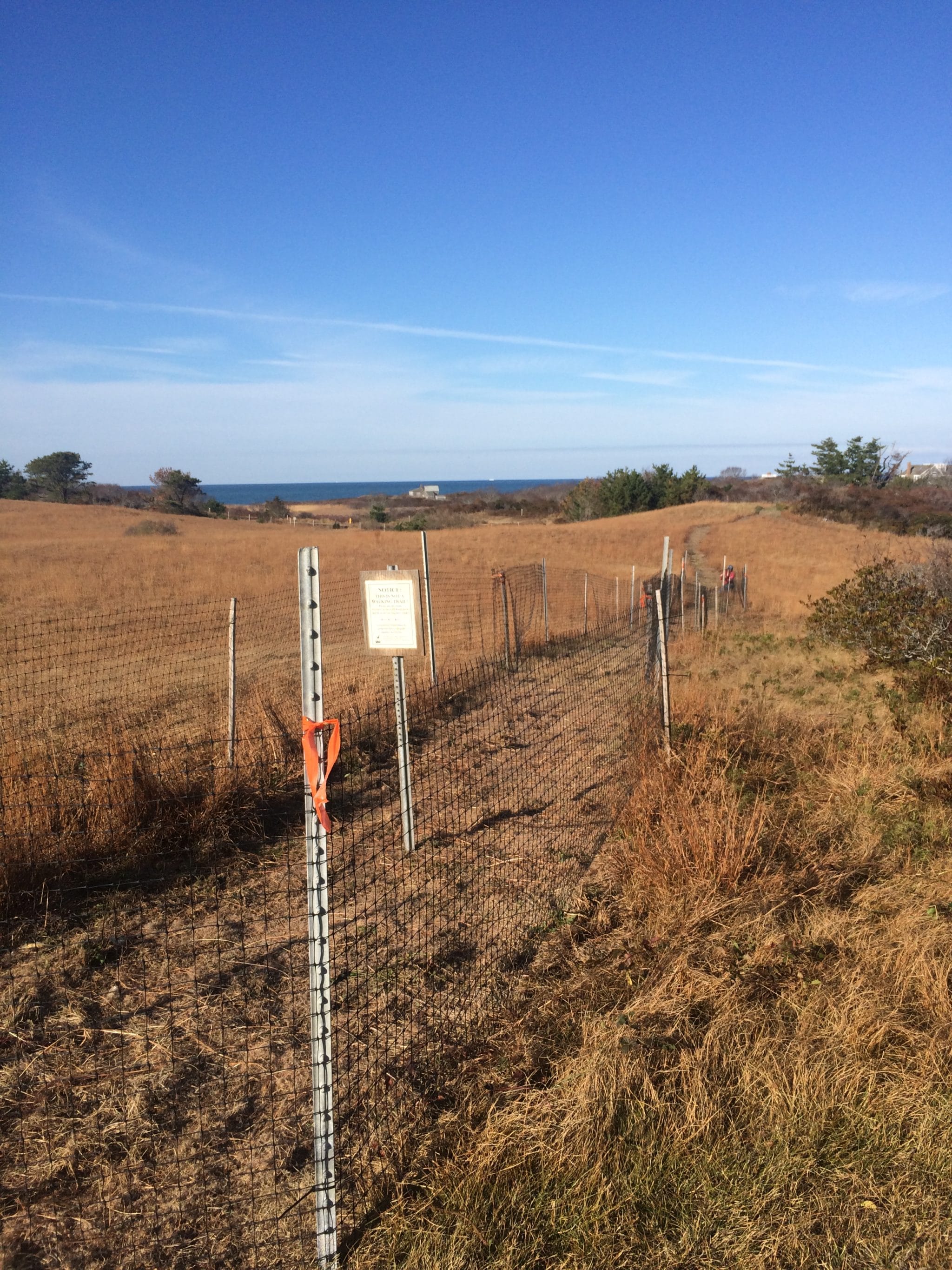 Reseeded area, fenced for the winter. We will monitor grass growth next year and hope this trail is able to re-establish.
