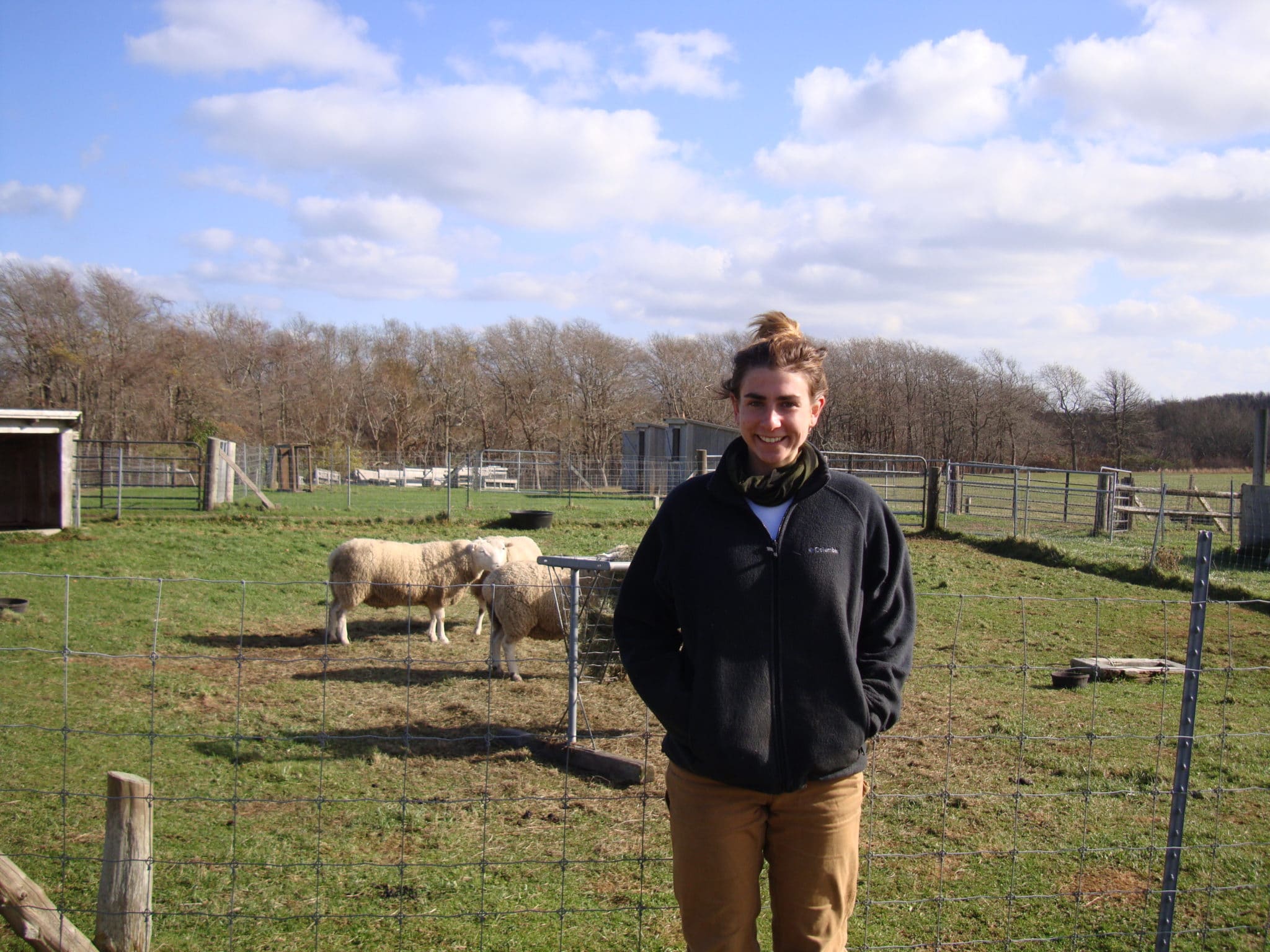 Connie with Sheep Nov 2014002