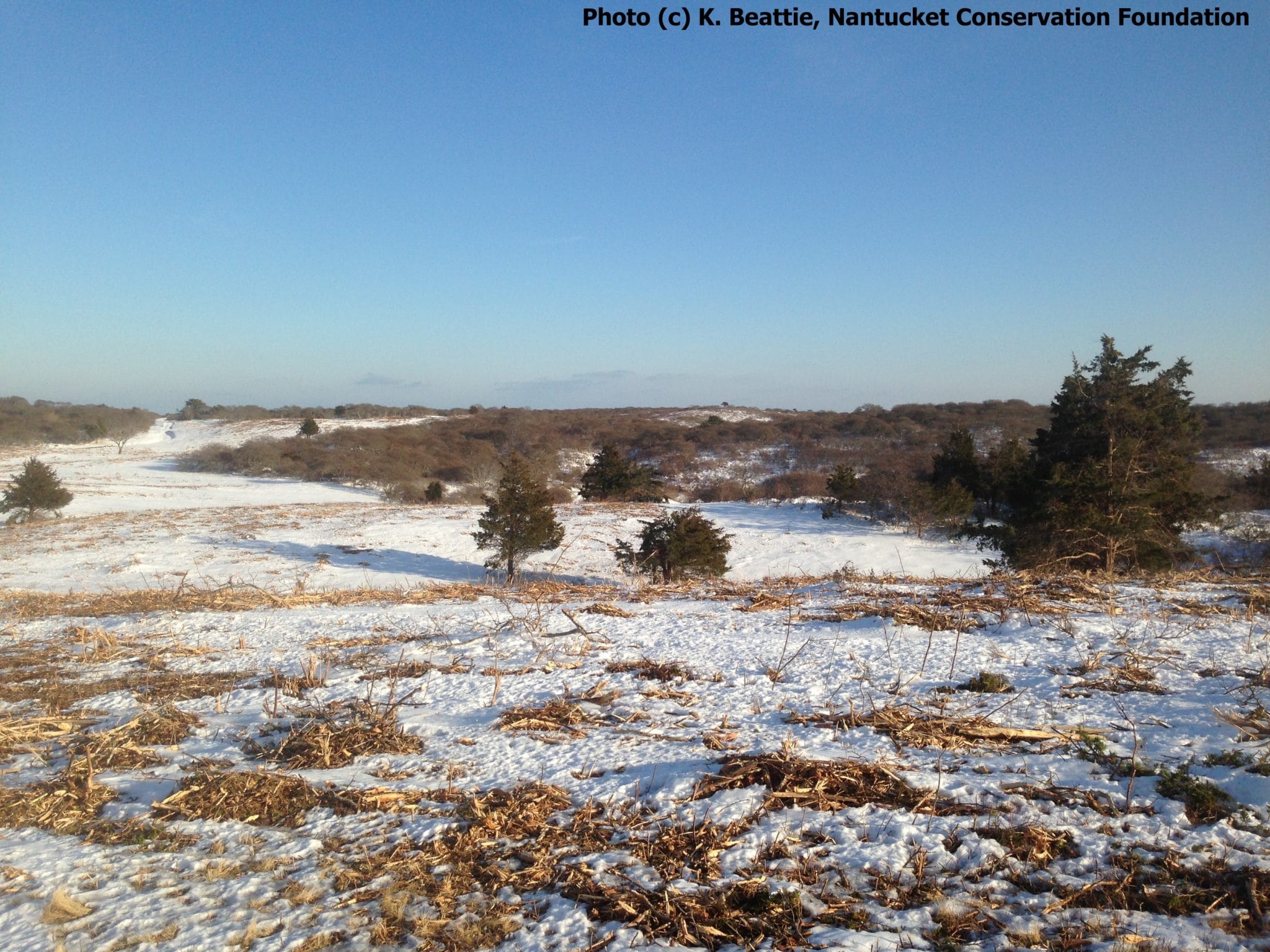 WM WRRP Mowing Shawkemo Hills Winter 2015 8