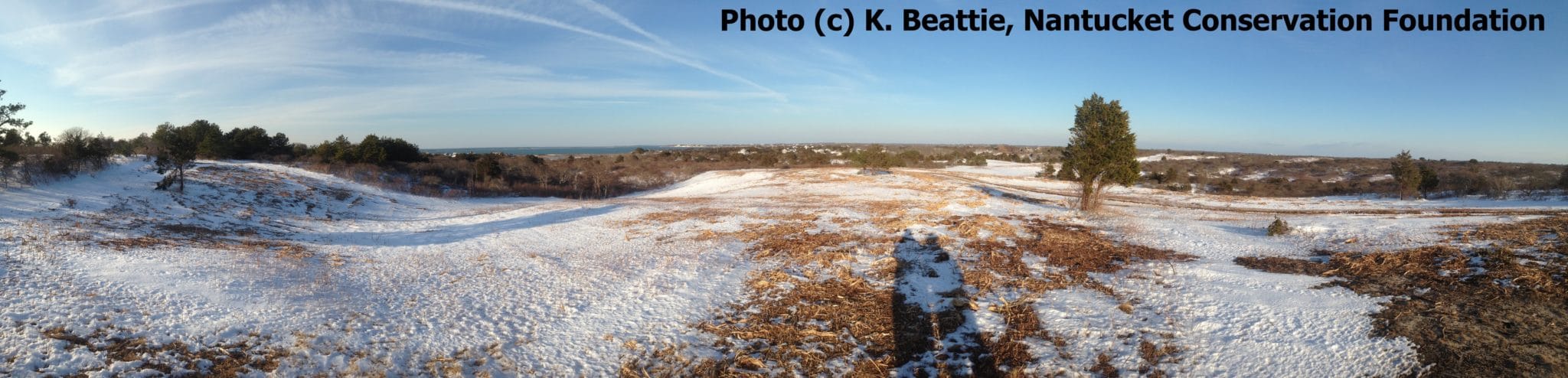 WM WRRP Mowing Shawkemo Hills Winter 2015 Panorama