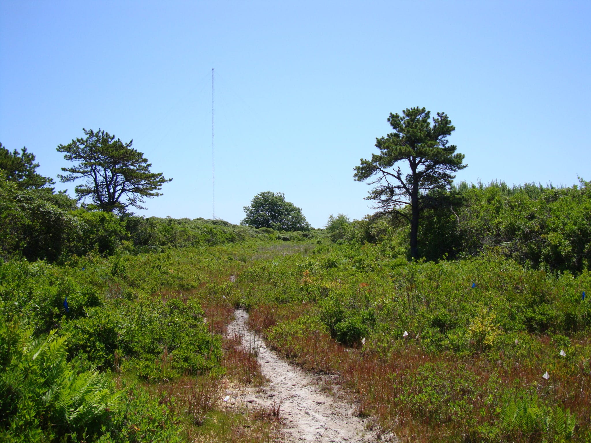 Sconset Dump NCF