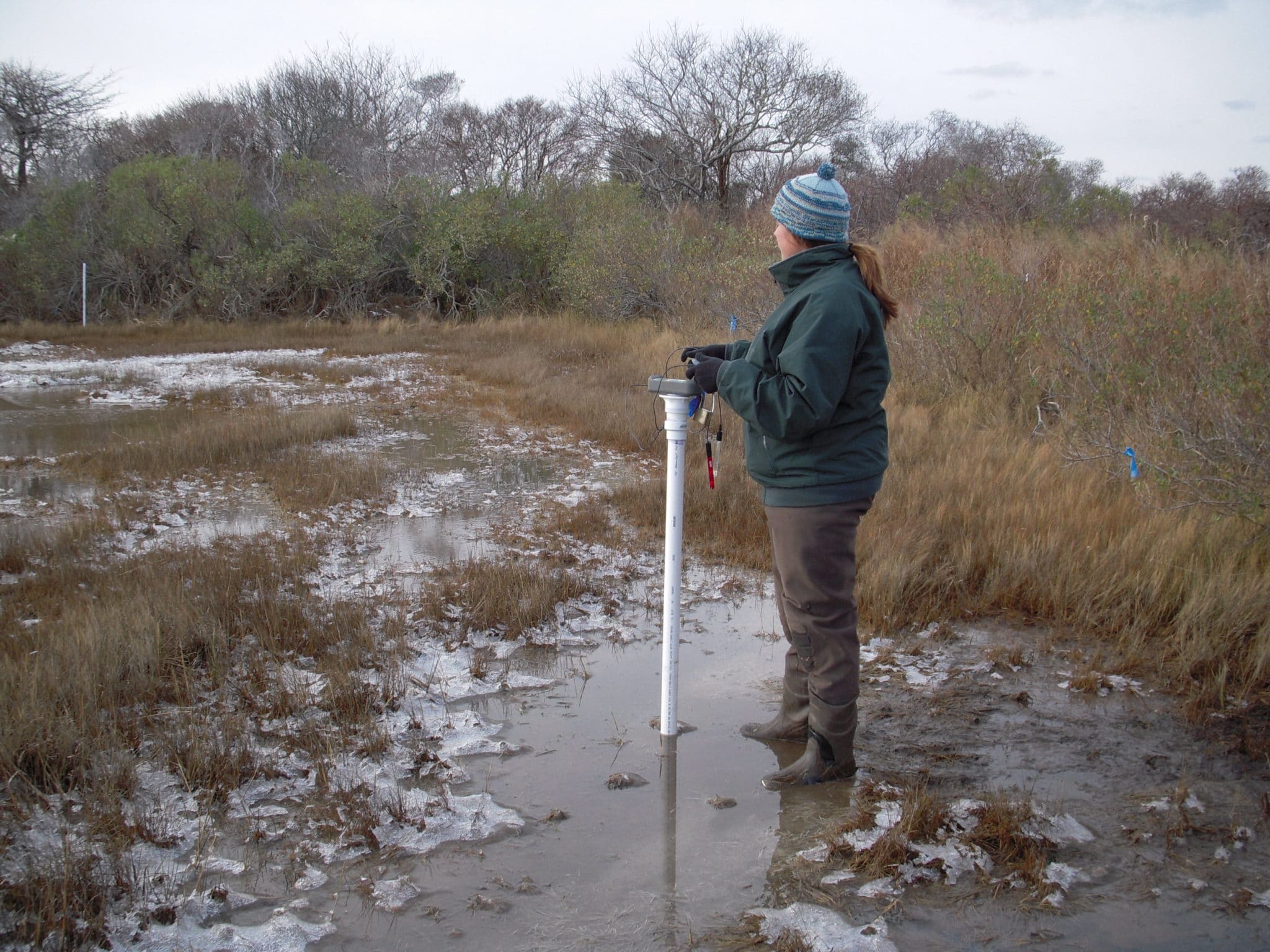 Measure tide water levels during winter storms in a salt marsh