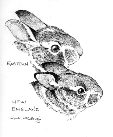 NEC vs EC by Mark McCollough. USFWFgif