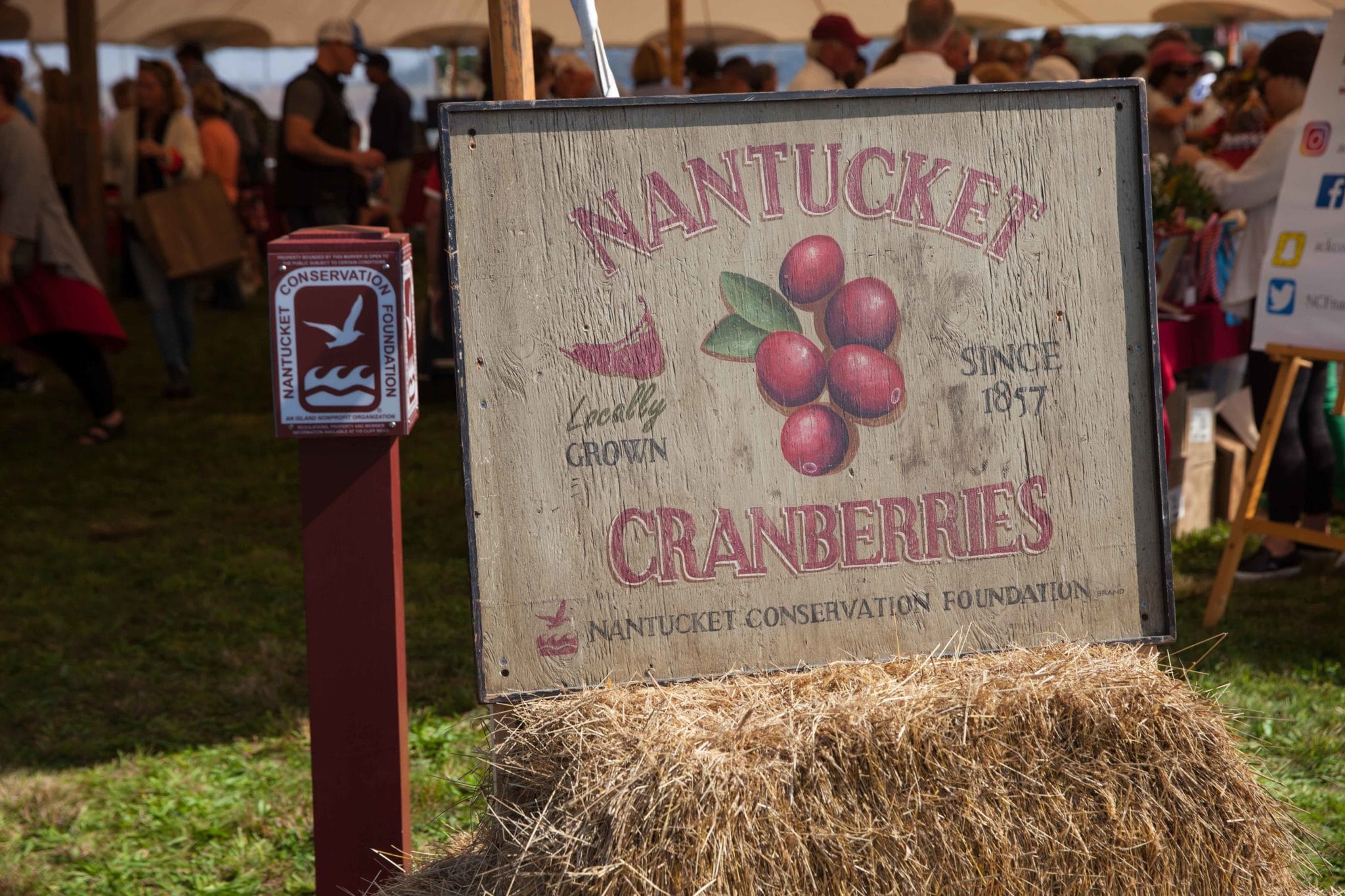 Cranberry Fest 2017 0094