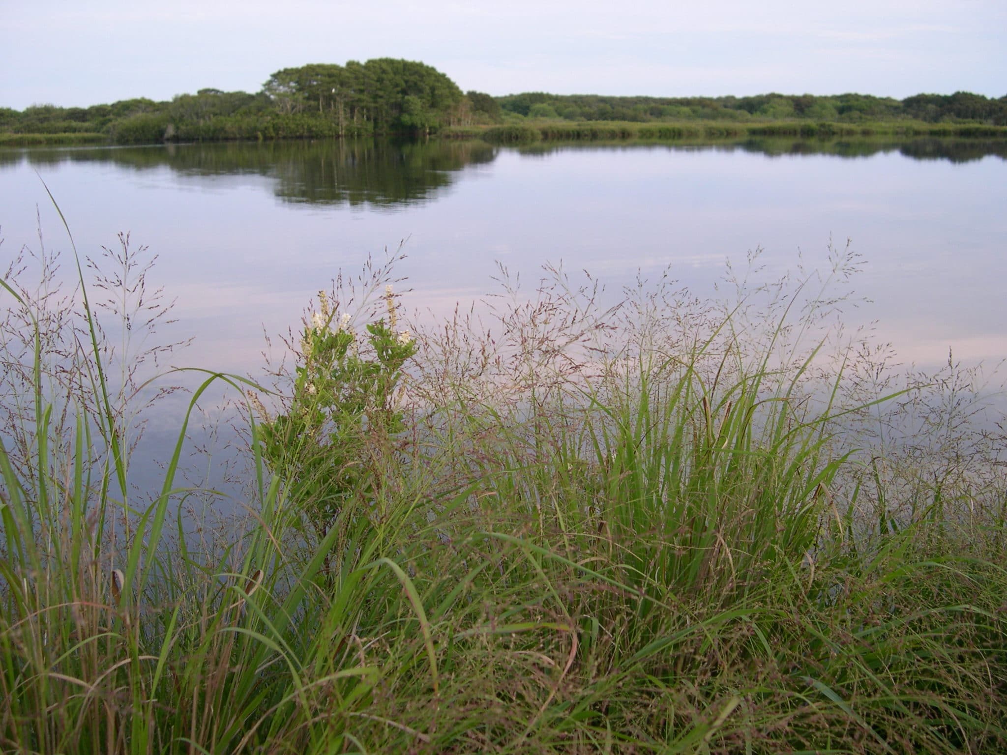 Stump Pond