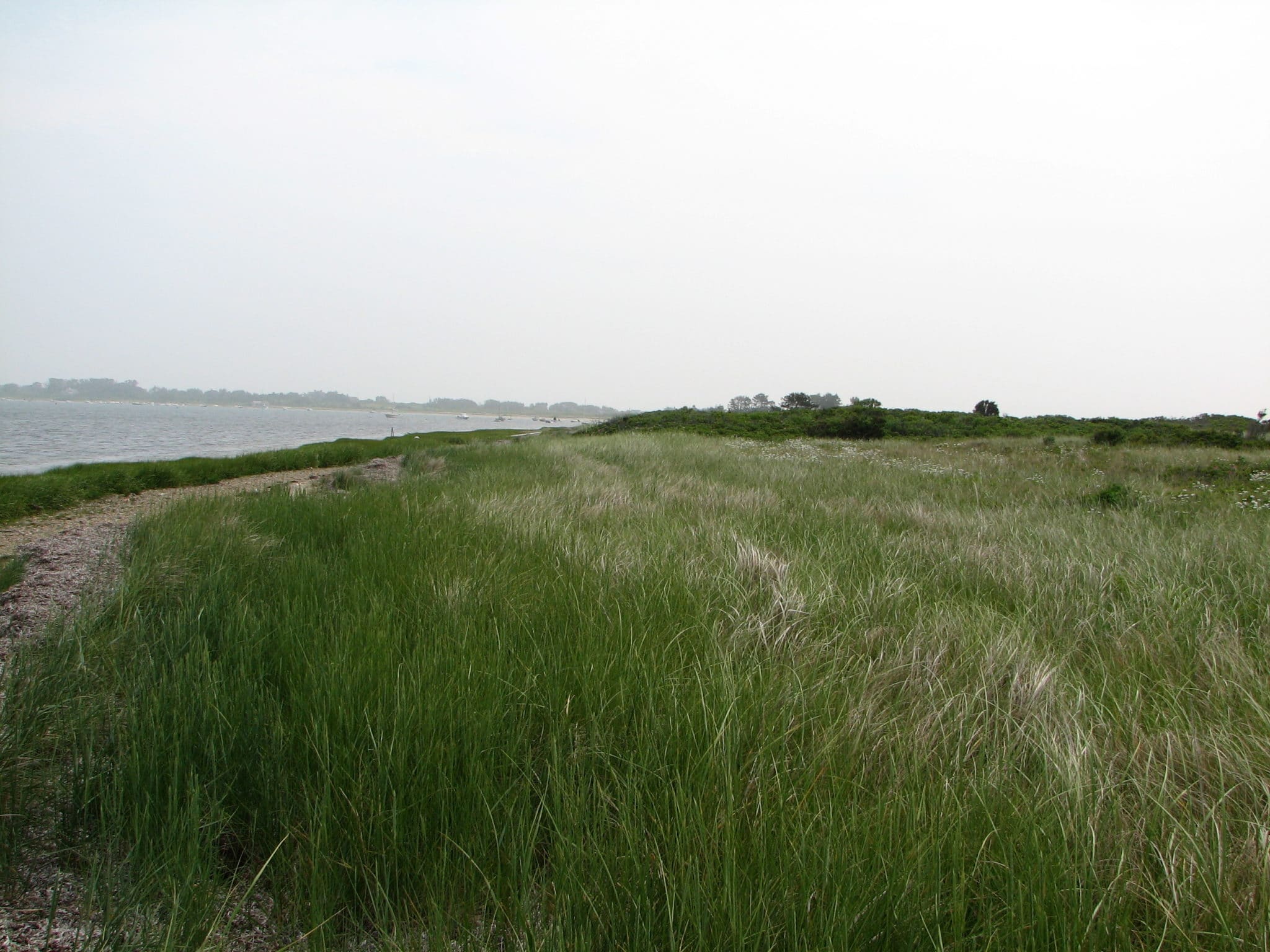 Little Neck By KCB July 2007 Little Neck By KCB July 2007