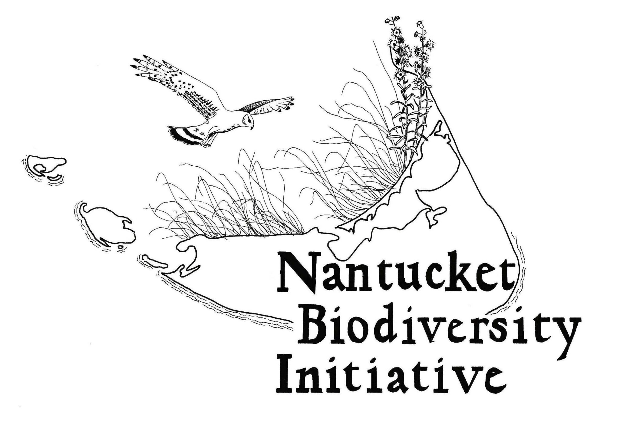 Nantucket Biodiversity Initiative Logo With White Border