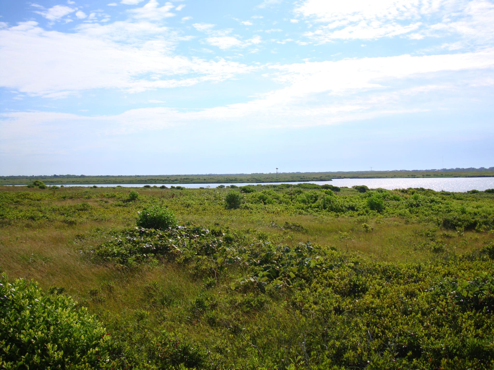 Head Of Plains Head Of Plains