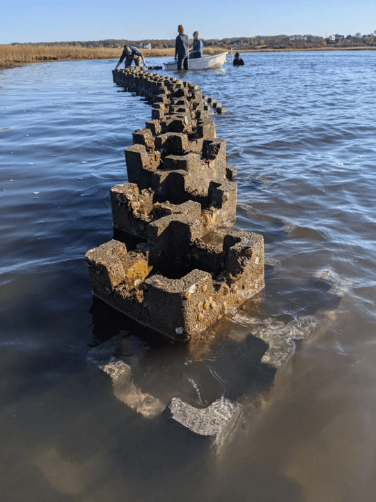 Oyster Reef Installation 2021 Oyster Reef Installation 2021
