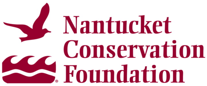 NCF Logo Stacked