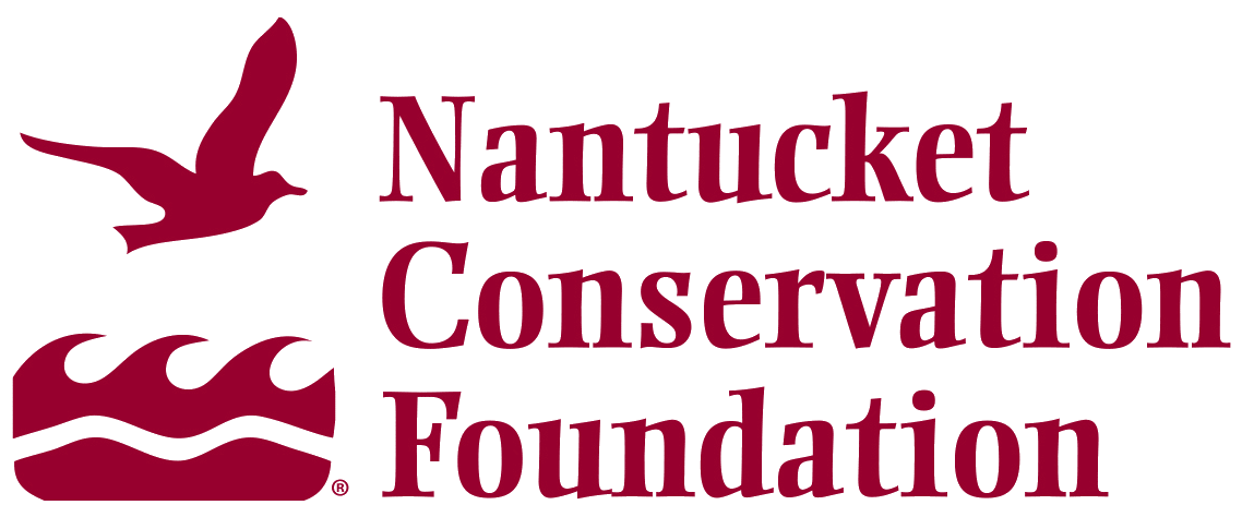 NCF Logo Stacked