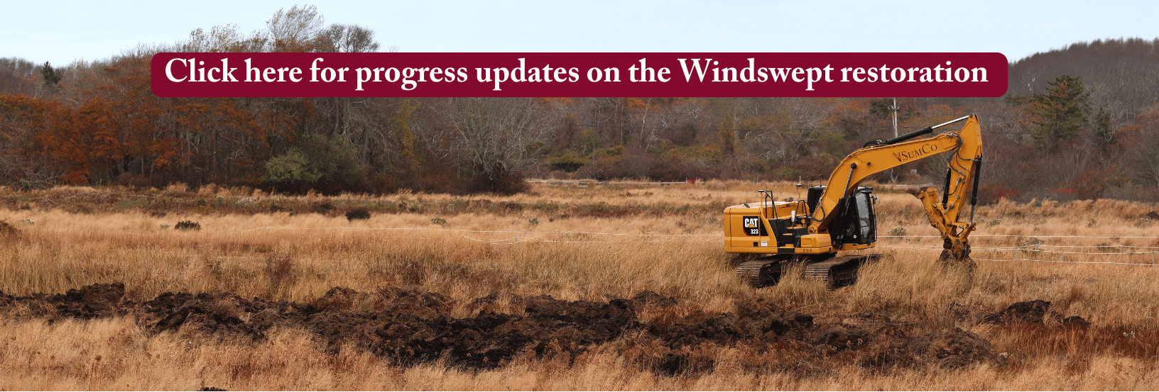 Windswept Restoration Banner (1)