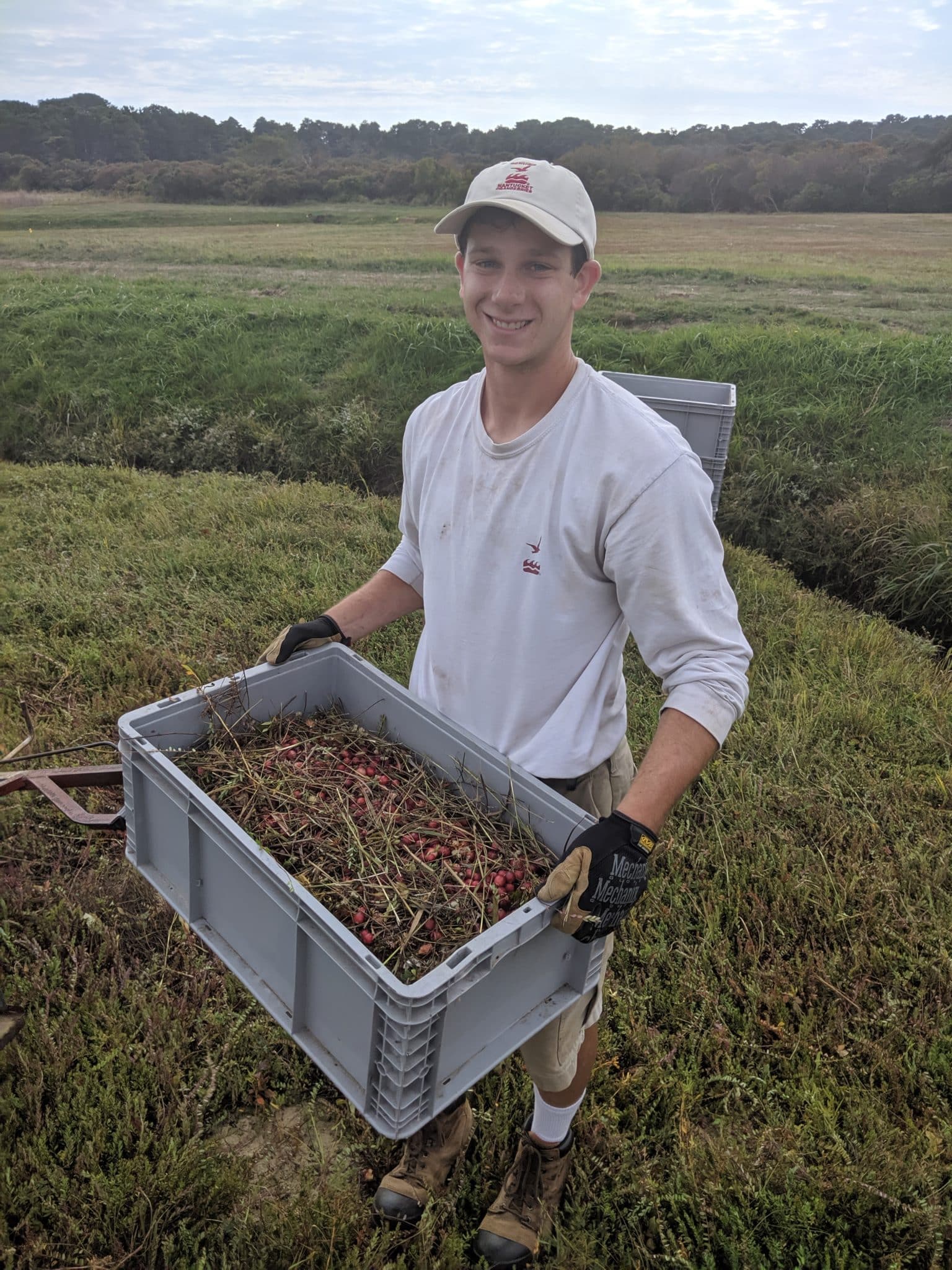Nick Larrabee Dry Picking, NPF Milestone Nick Larrabee Dry Picking, NPF Milestone