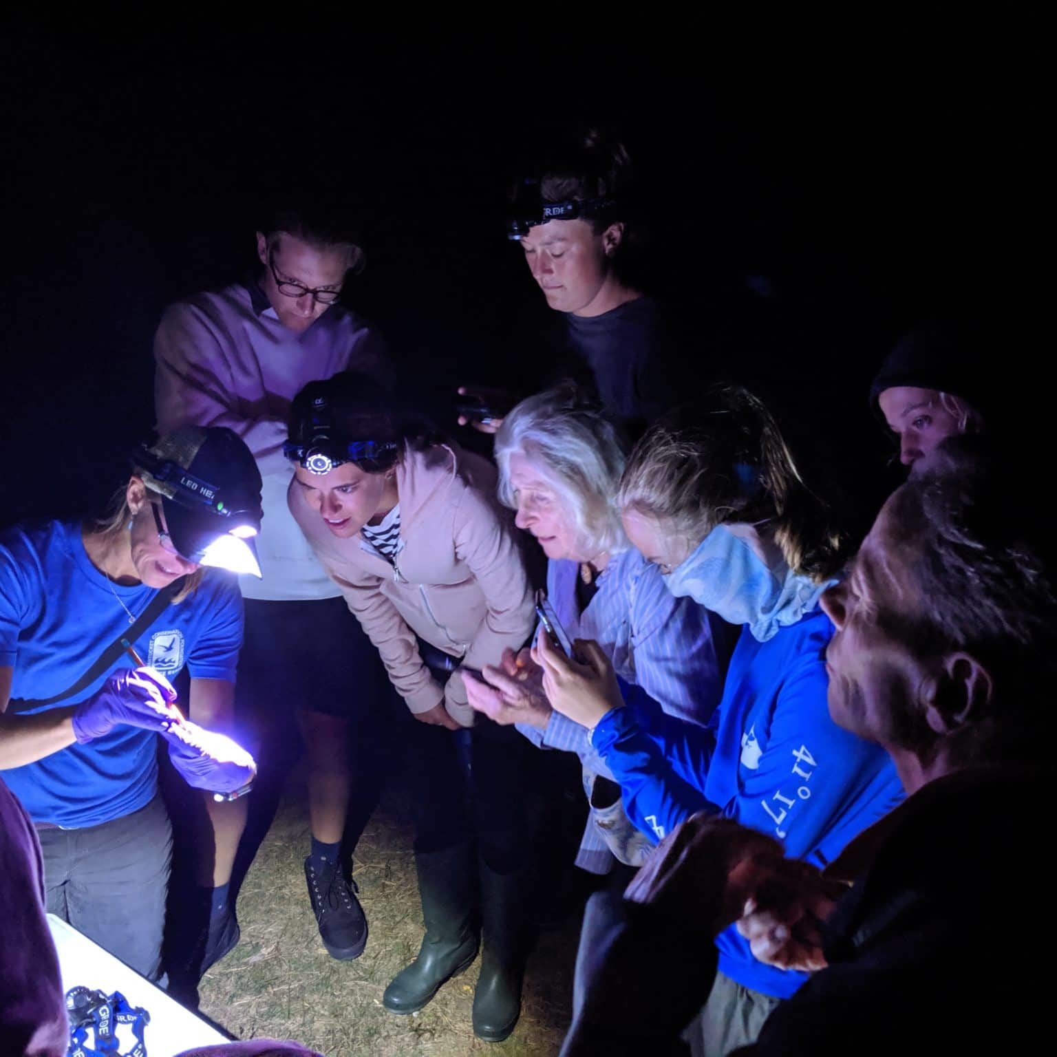 Science for NCF Members "Bat Encounter" Event