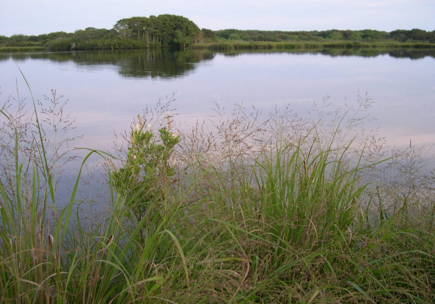 Stump Pond