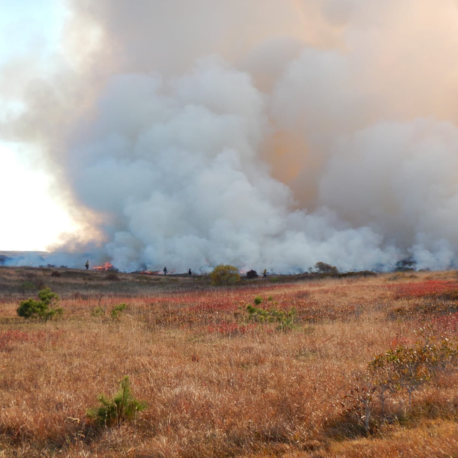 HOP Burn Nov 13 2014 By KCB 421