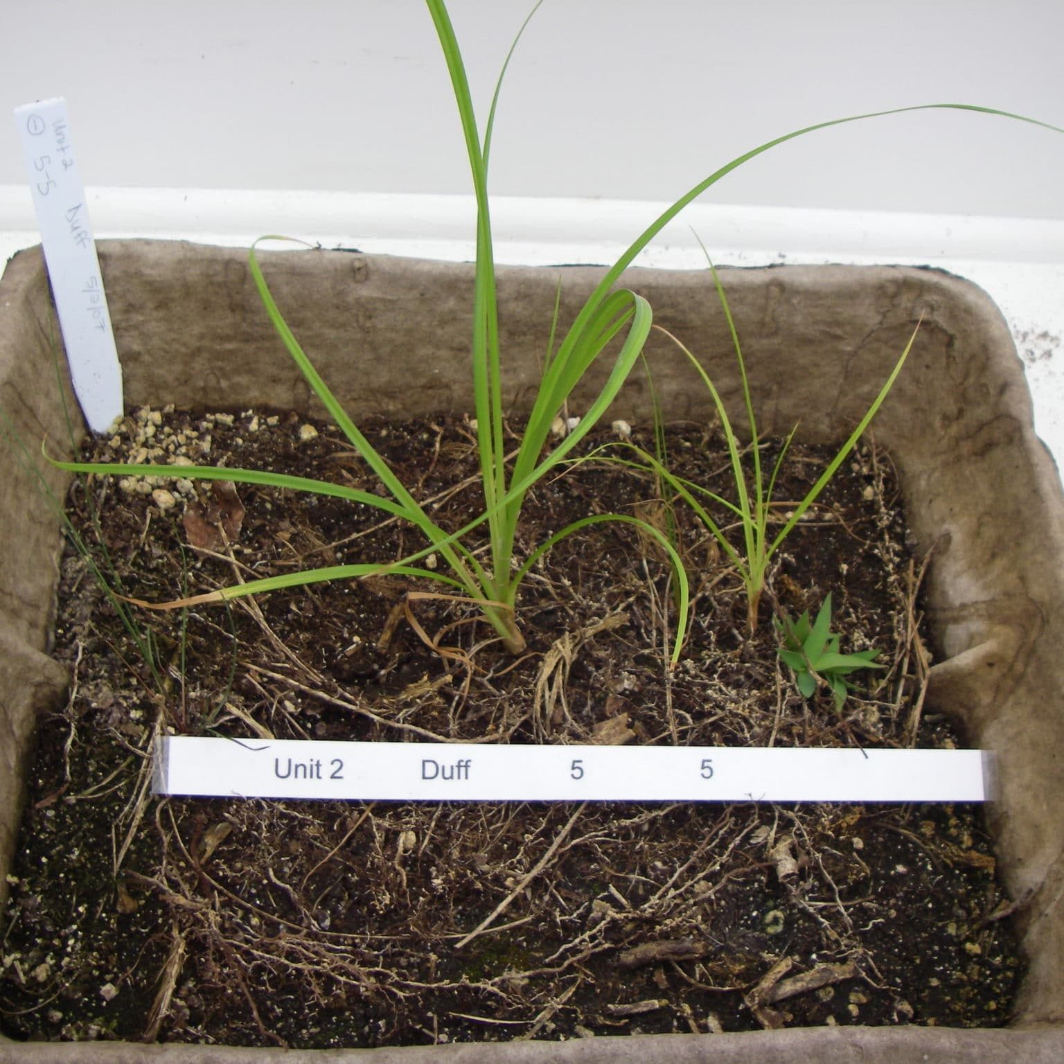 Published Research Nantucket Conservation Foundation