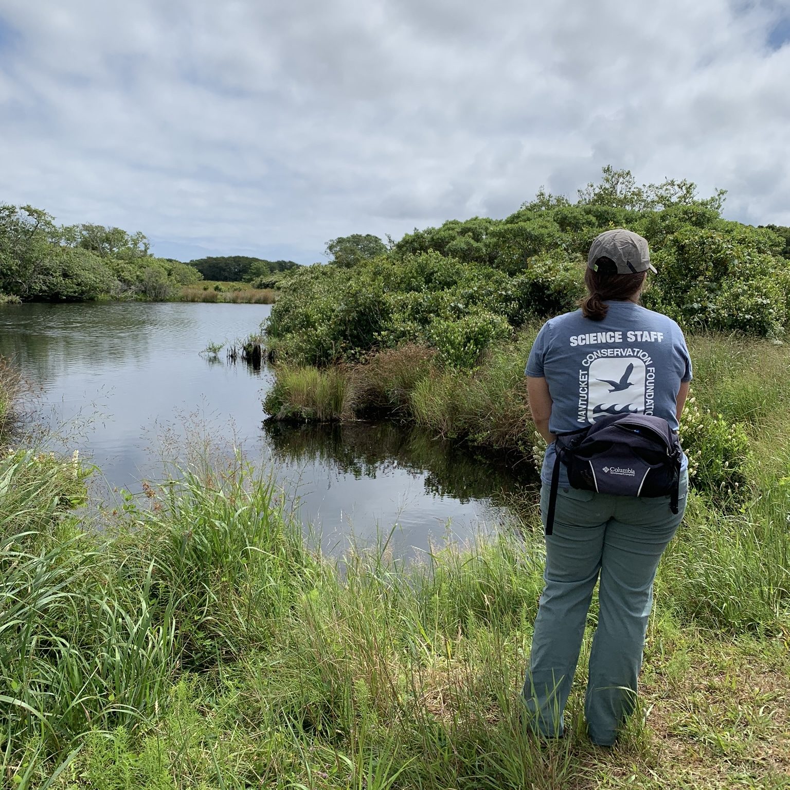Windswept Board Visit 2019 JMK NCF Ecologist Kelly Omand examining Windswept's connection to Stump Pond, an area the Foundation hopes to maintain during the restoration.