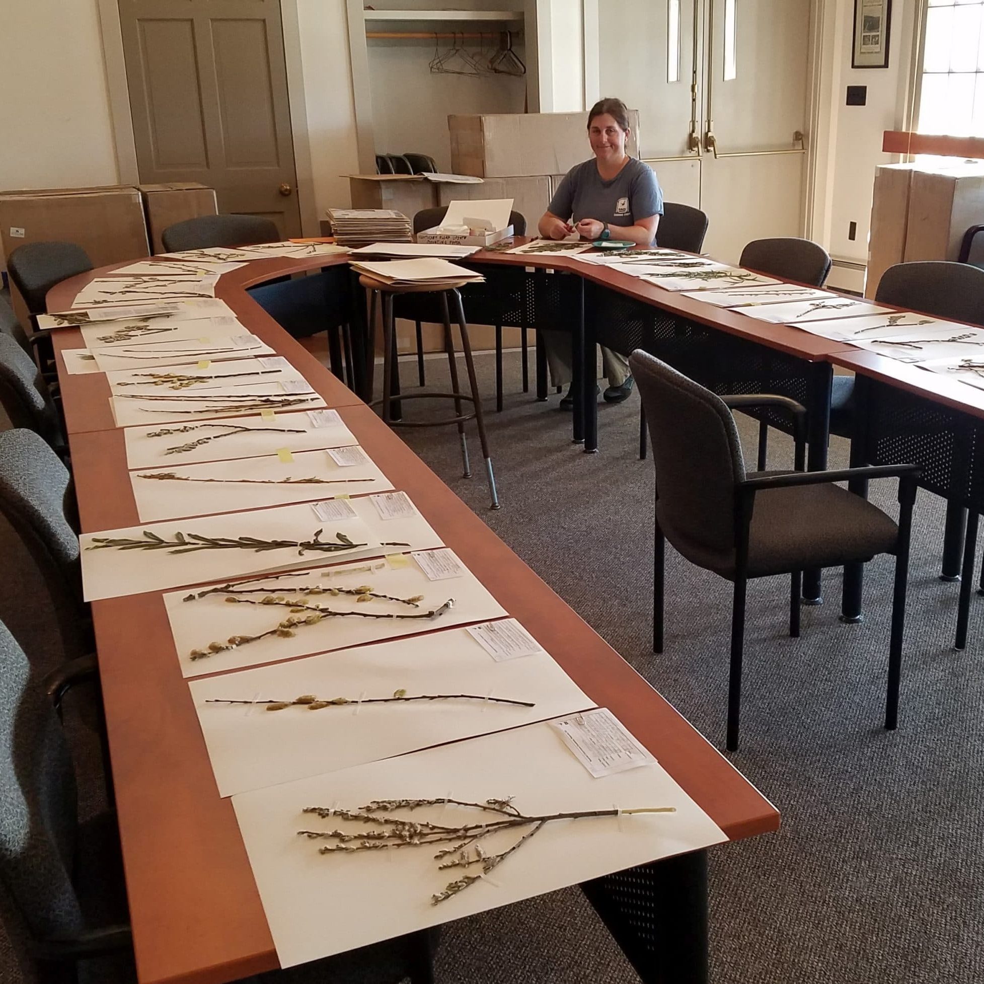 Kelly With Herbarium Specimens