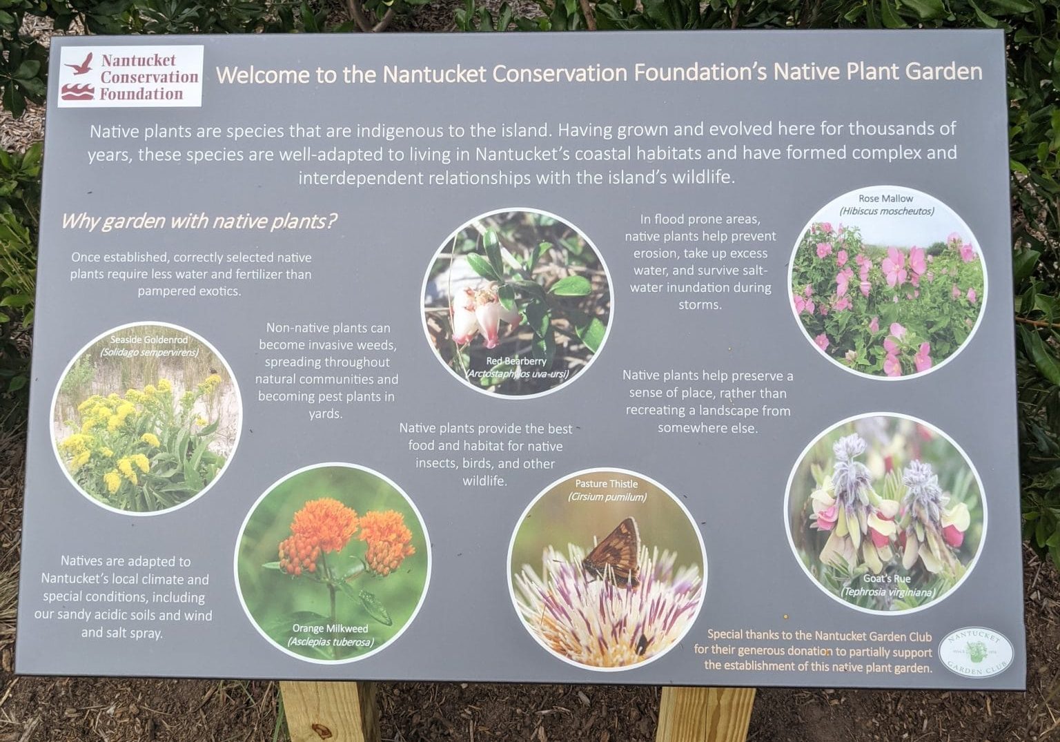 Native Plant Gardening Sign At NCF Garden, 2021 Educational signs funded in part by the Nantucket Garden Club