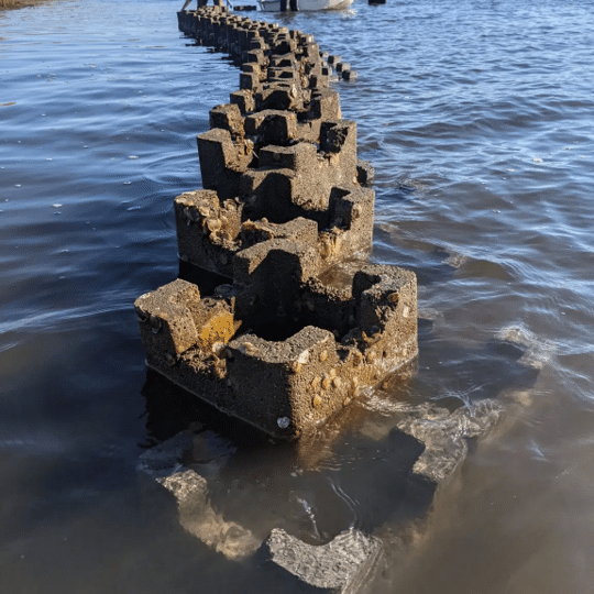 Oyster Reef Installation 2021