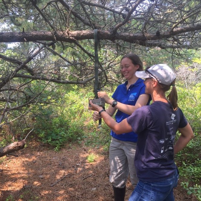 Published Research Nantucket Conservation Foundation
