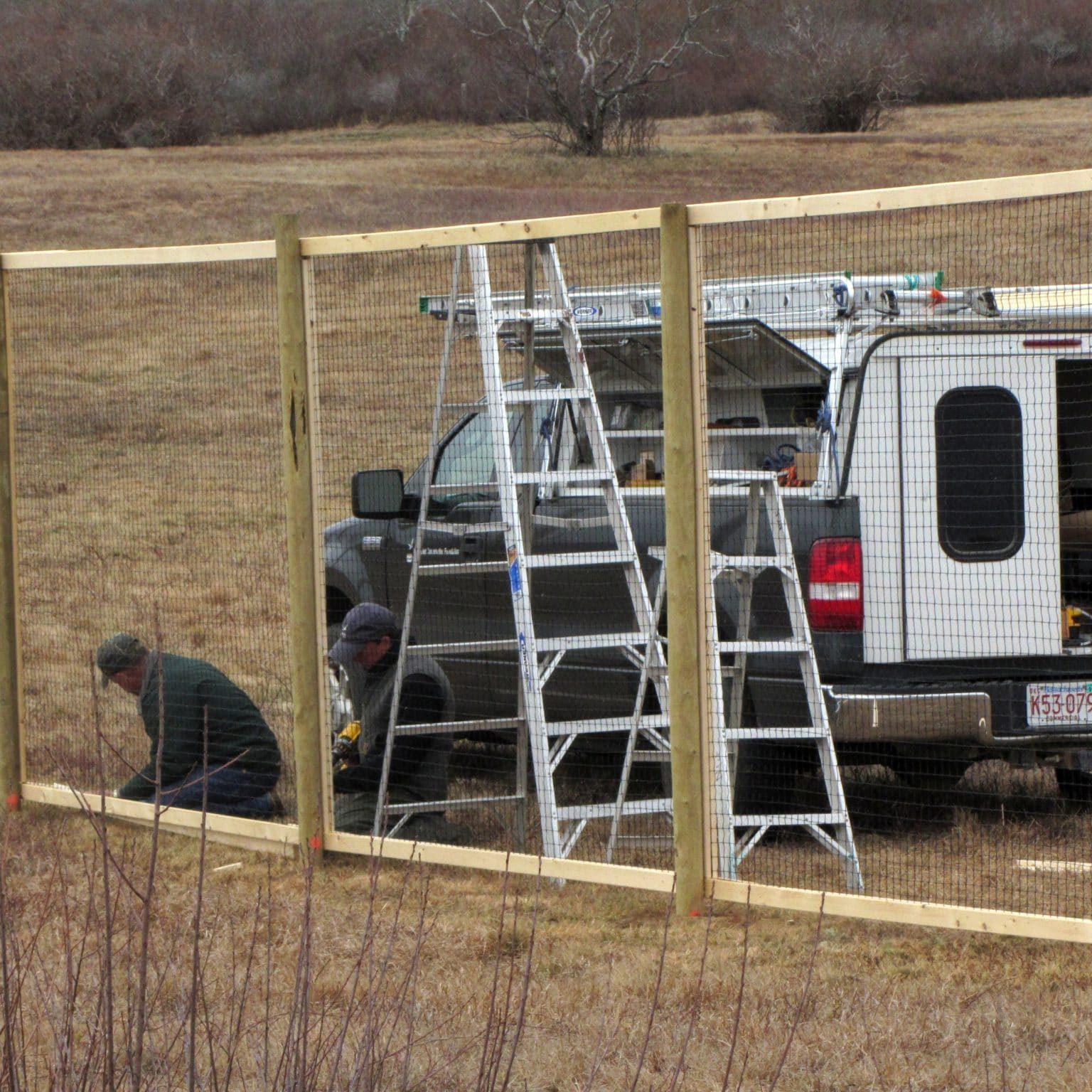 Sanford Deer Fence Construction, 4 12 12,KAO (6)