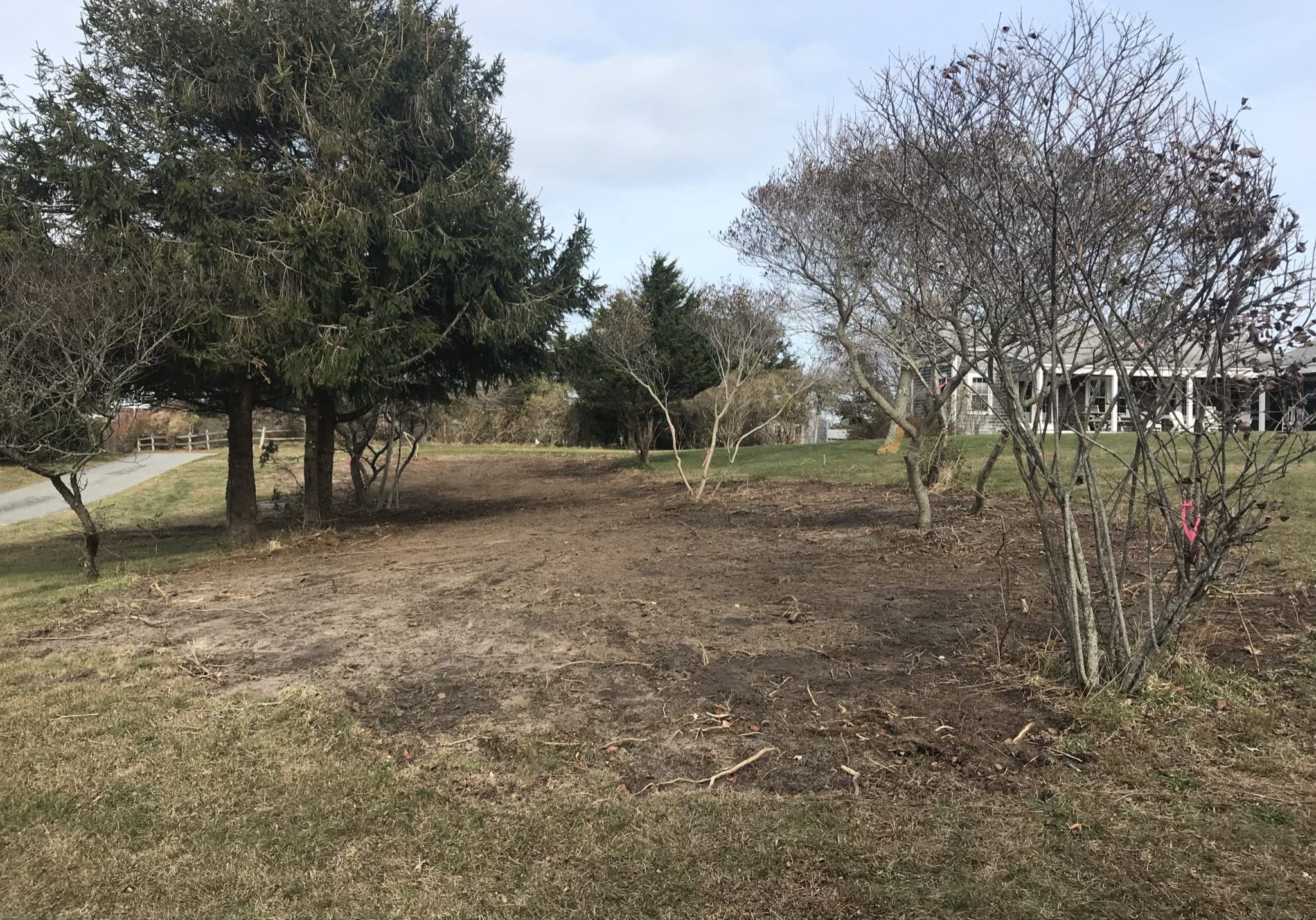 Wildflower Meadow 2019 Wildflower Meadow 2020