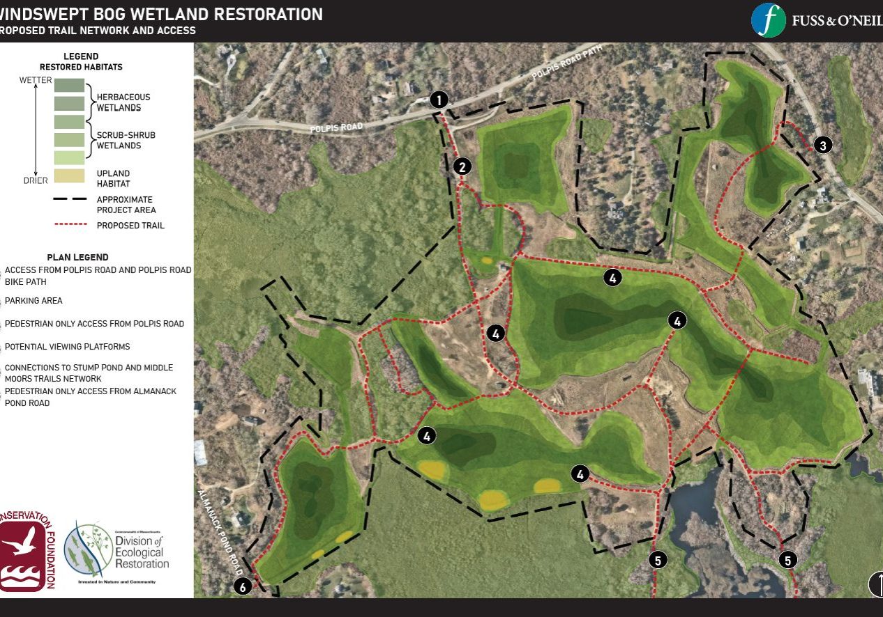 Windswept Fancy Plans Public Access