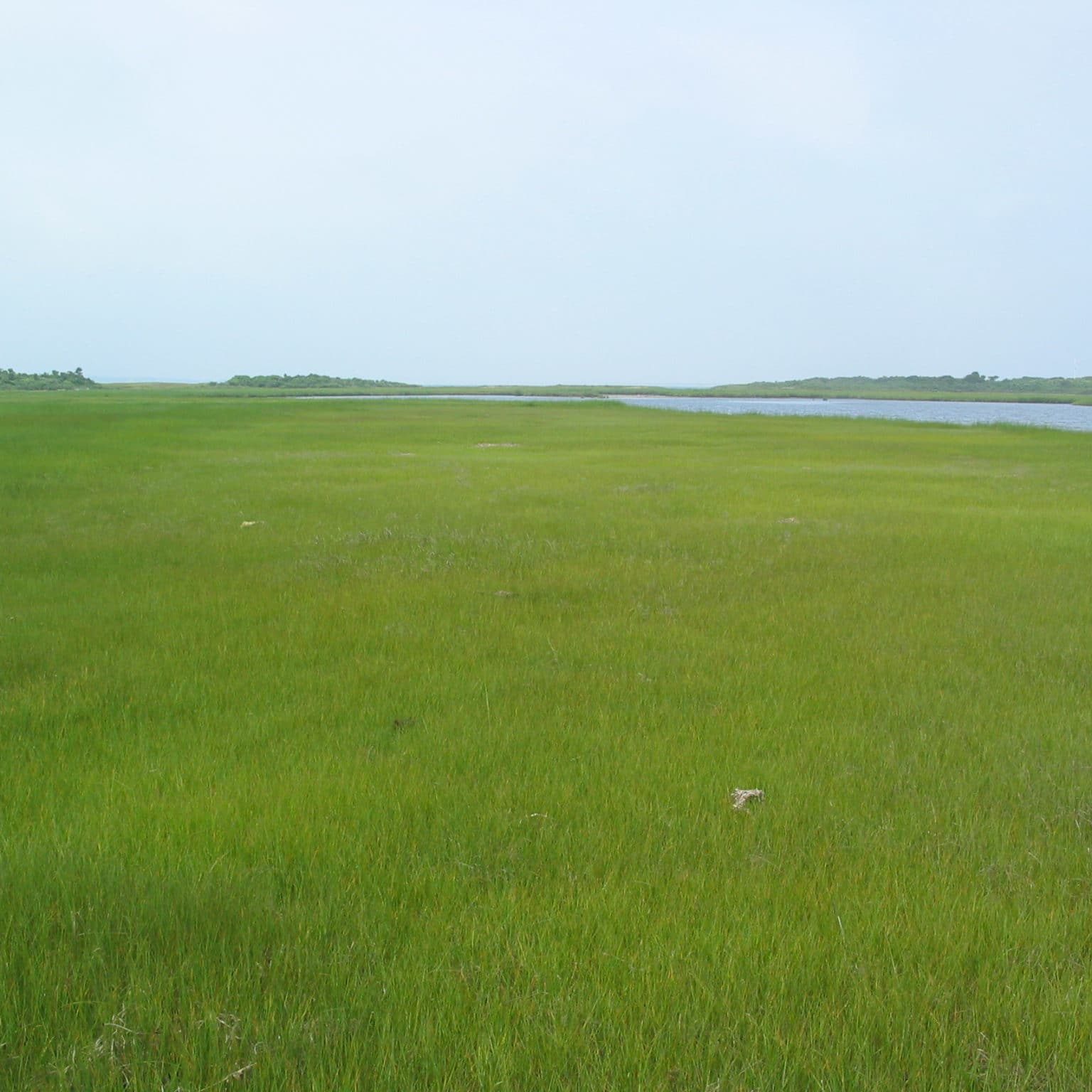 Rez071907 Pocomomeadows Site03 270deg Rez071907 Pocomomeadows Site03 270deg
